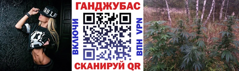 Где купить Георгиевск Гашиш 