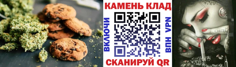 дарнет шоп  Георгиевск  блэк спрут ссылки  Еда ТГК конопля 